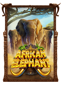 เว็บพนันบอลที่ดีที่สุด ที่คุณไม่ควรพลาด